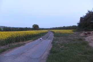 Kimbolton