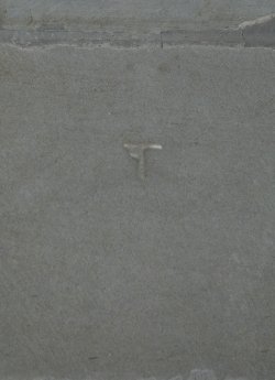 Mason Mark
