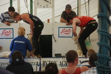 Shearing