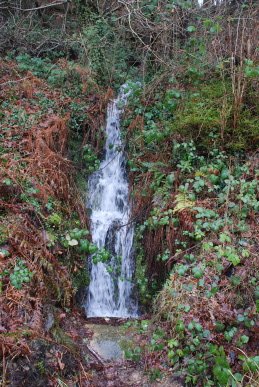 Stream
