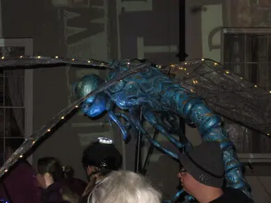 Dragon fly