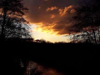 Dawn