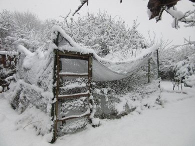 Fruit Cage