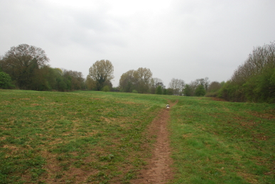 Lammas Meadow Lammas Meadow