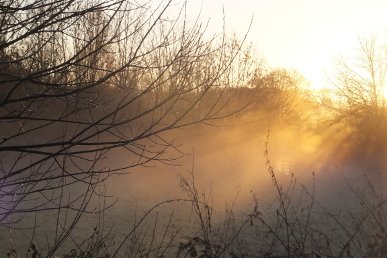 Mist