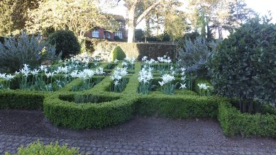 Knot Garden