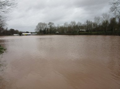Easters meadow