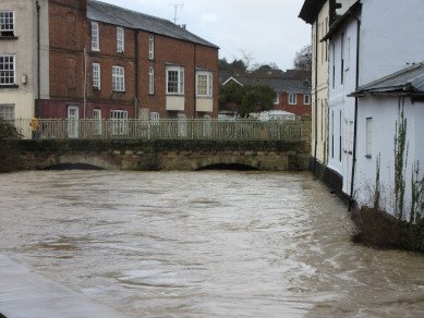 Bridge