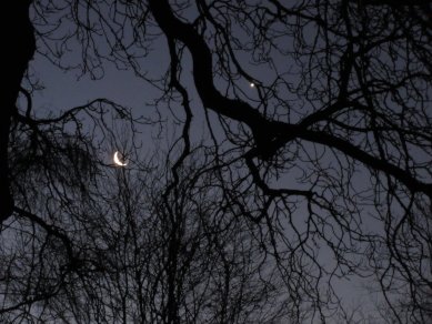 Moon & Venus