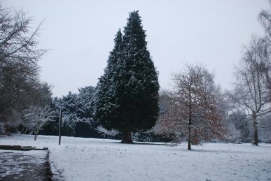 Minster