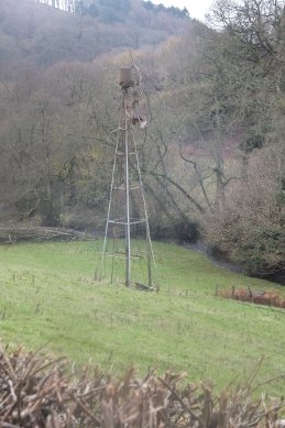 Windmill