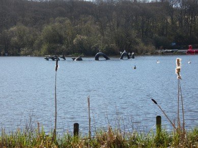 Water Serpent