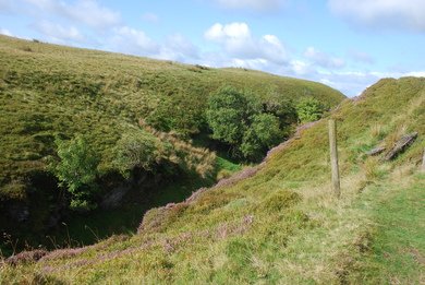 Mithil Brook