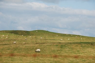 Shepherd's Tump