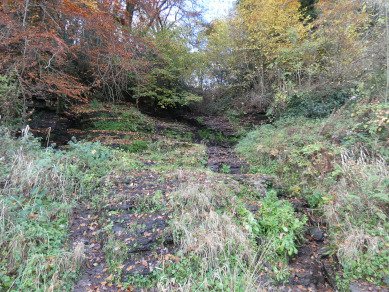 Whitcliffe