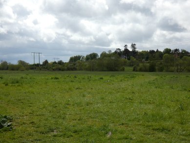 Meadows