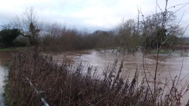 Flood