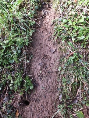 Badger Slide
