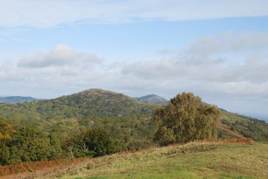 British Camp