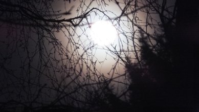 Moon