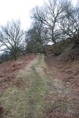 Path