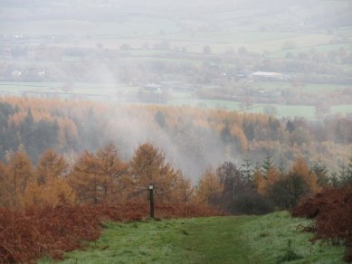 Mist