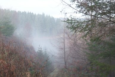 Mist
