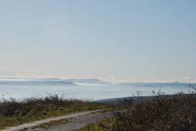 Mist