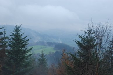 Mist