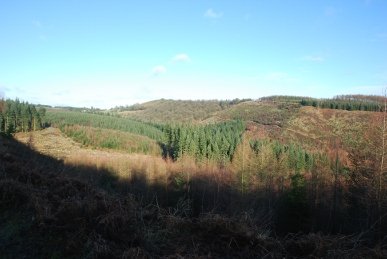 Mary Knoll Valley