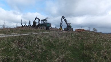 Logging