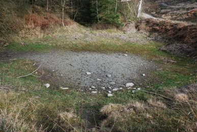 Pond