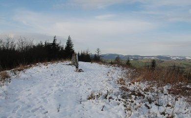 Bringewood