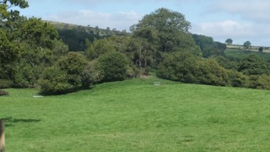 Dolbedwyn Motte