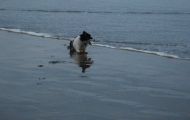Maddy