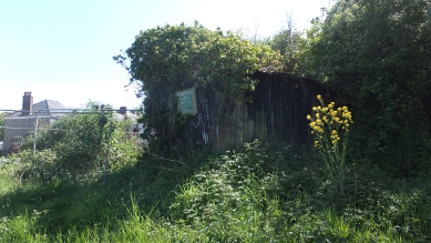 Racing Pigeon Society Shack