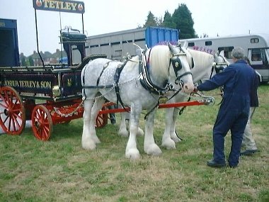 Drays