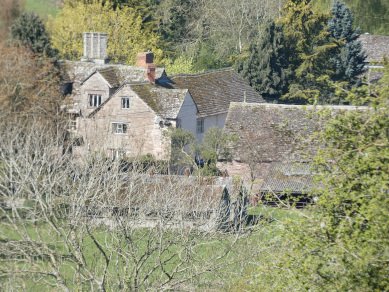 Manor