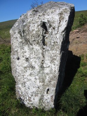 Stone