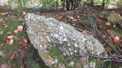 Stone