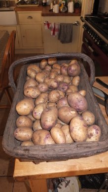 Potatoes