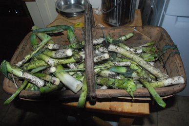 Leeks
