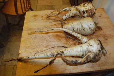 Parsnips