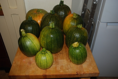 Pumpkins Pumpkins