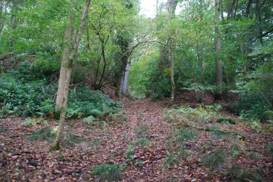 Hillfort