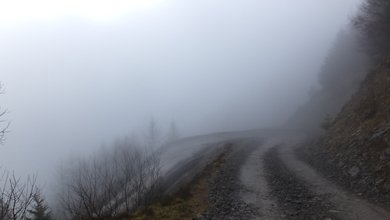 Mist