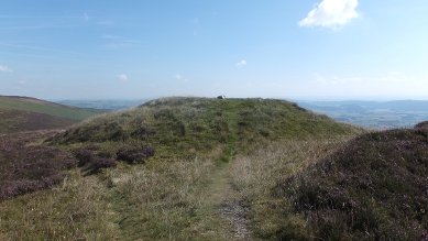 Barrow