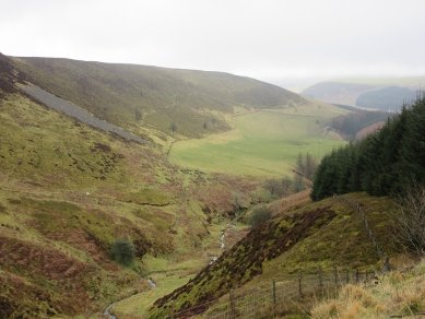 Black Brook