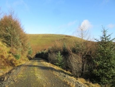 Rhos