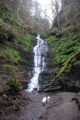 Waterfall